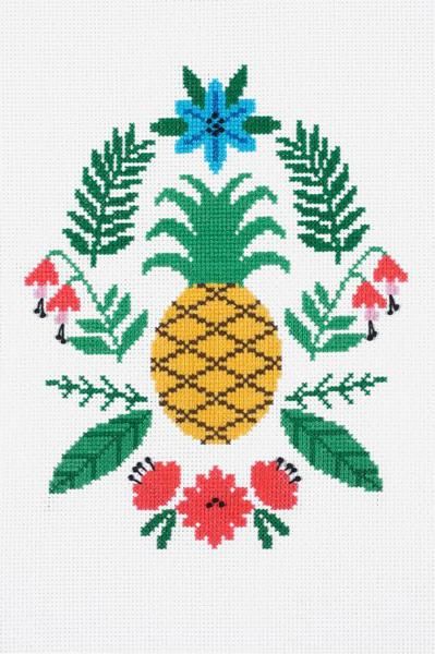 ֢ ԲġDMC ƥåå PINEAPPLE BK1782 ڻͲ2