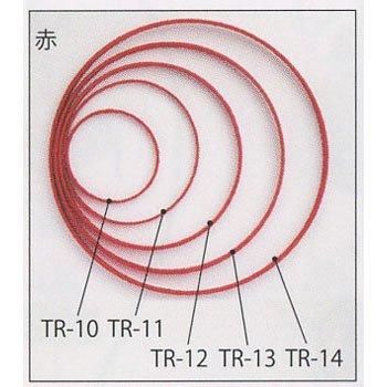 ѥʥ   10cm TR-10