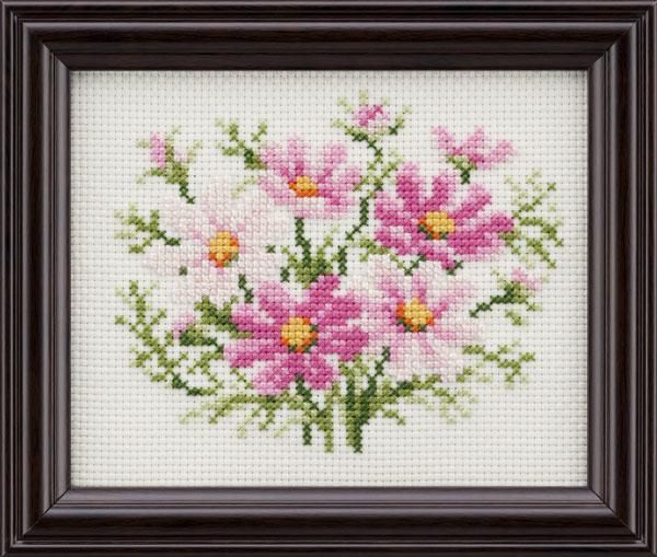  ɽå ⥹ 10 No.7630 ե졼 ƥå ڻͲ1