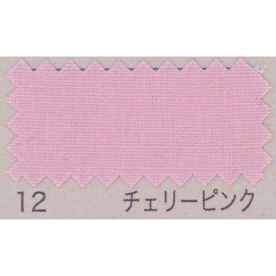 ֥ B64500Z col.12 ꡼ԥ