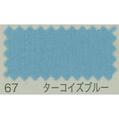 ֥ B64500Z col.67 ֥롼