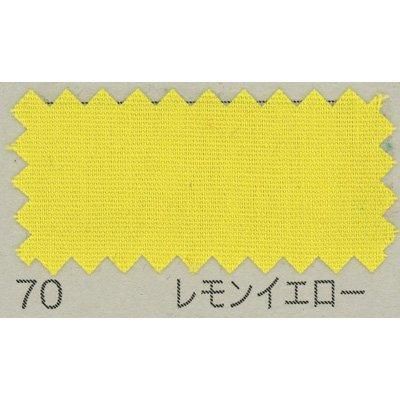 ֥ B64500Z 10m col.70 󥤥