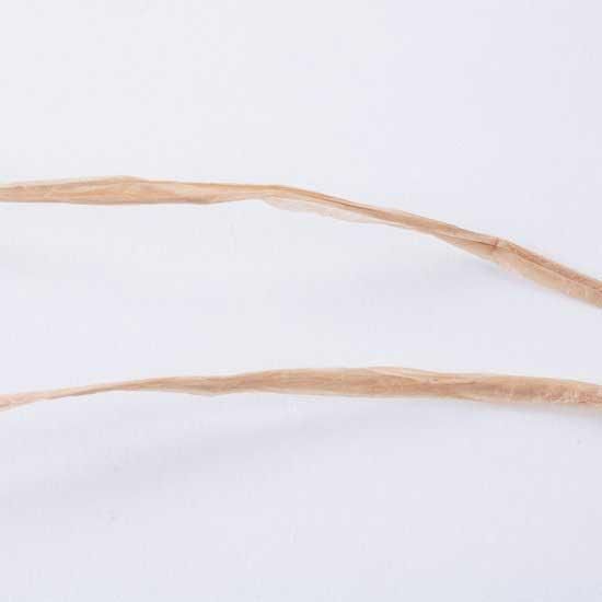 إ󥢡 ޥ˥إץ䡼 50m col.494 ͥ 3ĥå ڻͲ2