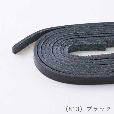 إ󥢡 ʿפҤ ܥ˥ 쥶 5.0mm ̳ 100m col.813 ֥å
