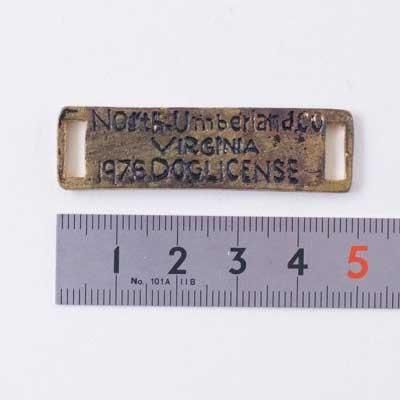 إ󥢡 ƥ ԥ塼ѡ AC447 3ޥå ڻͲ4