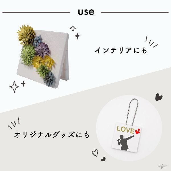 ʥ ۥˤʤߥ˥ 50mm50mm CBD-3 ڻͲ6