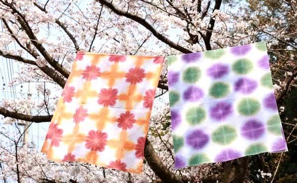 ʤ ̤å  ߤ ߤ䤳 ڻͲ3