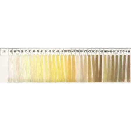 FTC ѥߥ ޥʡS F60 5000m col.15236