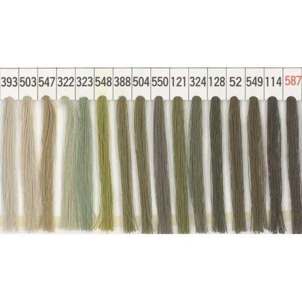 FTC ѥߥ ޥʡS F60 5000m col.393551 ڻͲ1