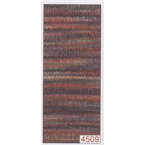 ӻ   col.4509