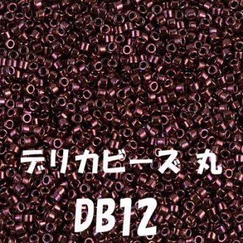 デリカビーズ DB12 20g