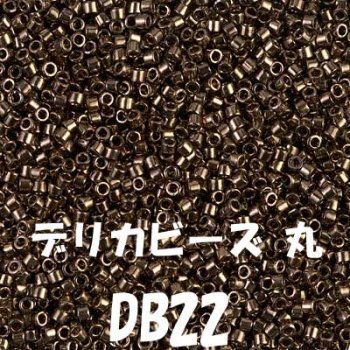 ǥꥫӡ DB22 20g