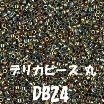 デリカビーズ DB24 20g