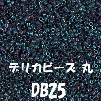 デリカビーズ DB25 20g