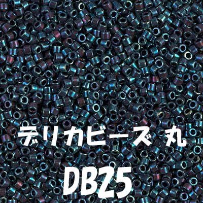 デリカビーズ DB25 20g 【参考画像1】