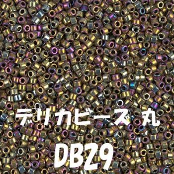 デリカビーズ DB29 20g