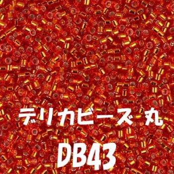 デリカビーズ DB43 20g