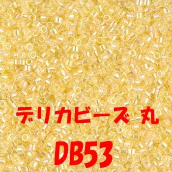 デリカビーズ 20g DB53