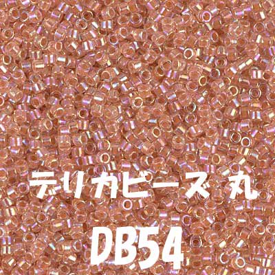 ǥꥫӡ 20g DB54 ڻͲ1