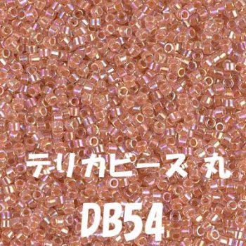デリカビーズ 20g DB54