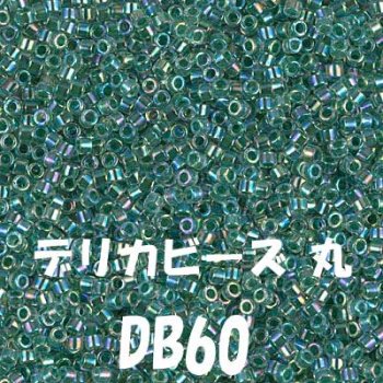 デリカビーズ 20g DB60