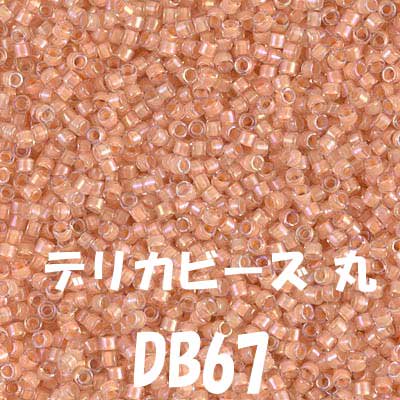 ǥꥫӡ 20g DB67 ڻͲ1