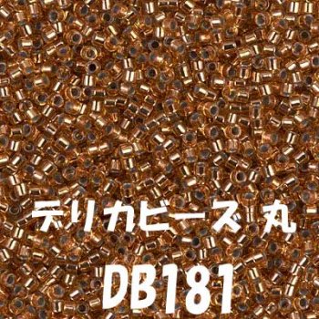 ߥ業 ǥꥫӡ 20g DB181