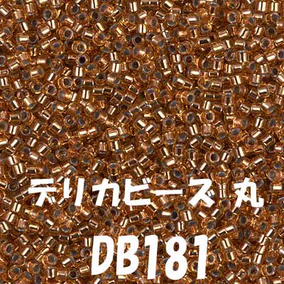 ߥ業 ǥꥫӡ 20g DB181 ڻͲ1