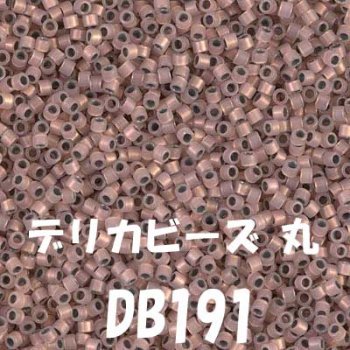 ߥ業 ǥꥫӡ 20g DB191