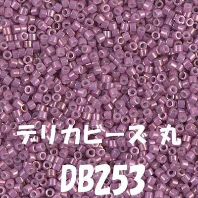 MIYUKI ǥꥫӡ 20g DB253 ڻͲ1