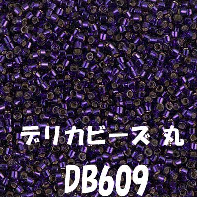 ǥꥫӡ  20g DB609 ڻͲ1