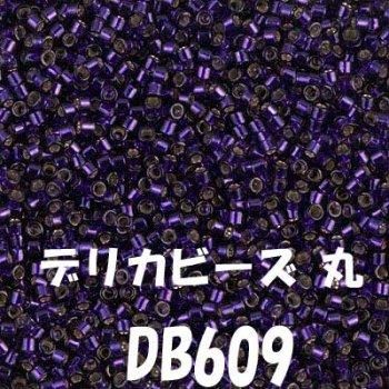 ǥꥫӡ  20g DB609