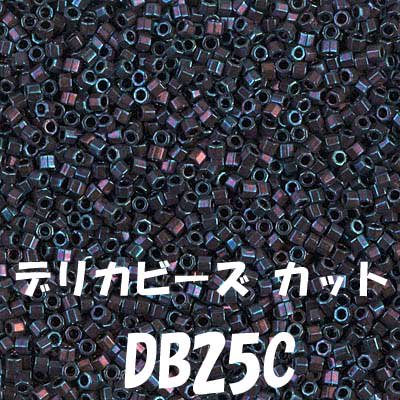 ǥꥫӡ DB25C20g ڻͲ1