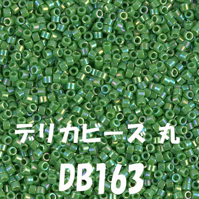 ߥ業 ǥꥫӡ DB1633g ڻͲ1
