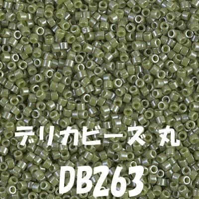 ߥ業 ǥꥫӡ 3g DB263 饹 ĥͭ ڻͲ1