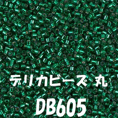 ߥ業 ǥꥫӡ 3g DB605 ڻͲ1