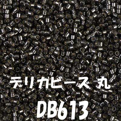 ߥ業 ǥꥫӡ 3g DB613 ڻͲ1