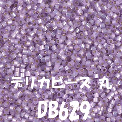 ߥ業 ǥꥫӡ 3g DB629 ڻͲ1