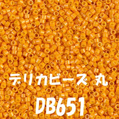 ߥ業 ǥꥫӡ 3g DB651 ڻͲ1