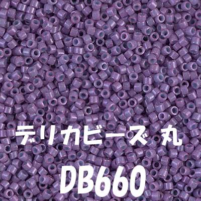 ߥ業 ǥꥫӡ 3g DB660 ڻͲ1