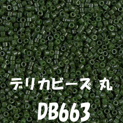 ߥ業 ǥꥫӡ 3g DB663 ڻͲ1