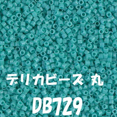 ߥ業 ǥꥫӡ 3g DB729 ڻͲ1