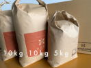 令和5年産　北海道産おぼろづき精米25kg（10kg袋、10kg袋、5kg袋）