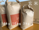 令和5年産　北海道産あやひめ玄米25kg（10kg袋、10kg袋、5kg袋）