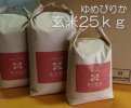 令和3年産　北海道産ゆめぴりか玄米25kg（10kg袋、10kg袋、5kg袋）