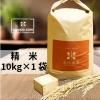 2025ǯ̳ƻ 10kg