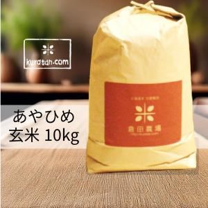 令和6年度産 北海道米 あやひめ 10kg