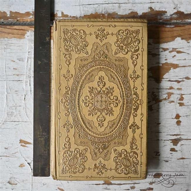 L3602-11 送料込！フランスアンティーク 1853年代 洋書 古書