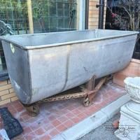 L3501-127 ѹ񥢥ƥ ֥ꥭ ȥ꡼ 若 ȭ Х  ȭ ȥ꡼若 ꥹ