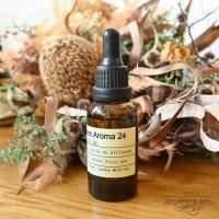 L3708-17 ѹ ƥꥢ  ǥե塼 Charabanc Aroma å󥷥륪 24 ߥåɥʥȥܥ䡼 ޥǥե塼  ꥹ